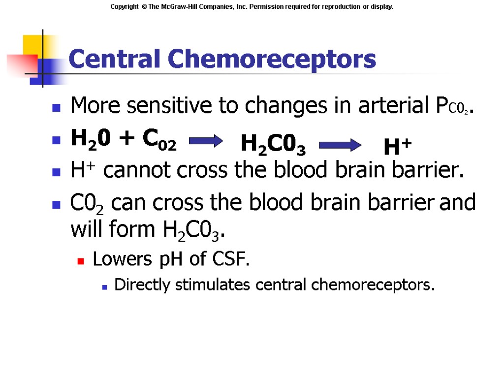 Central Chemoreceptors More sensitive to changes in arterial PC02. H20 + C02 H+ cannot